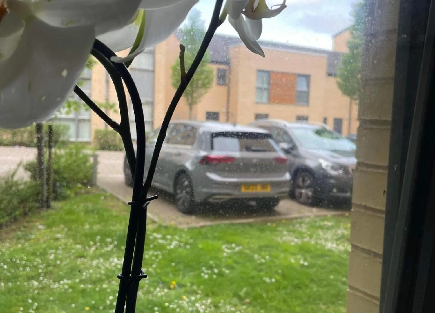 Campsite Comfy Room With Private Bathroom Edinburgh